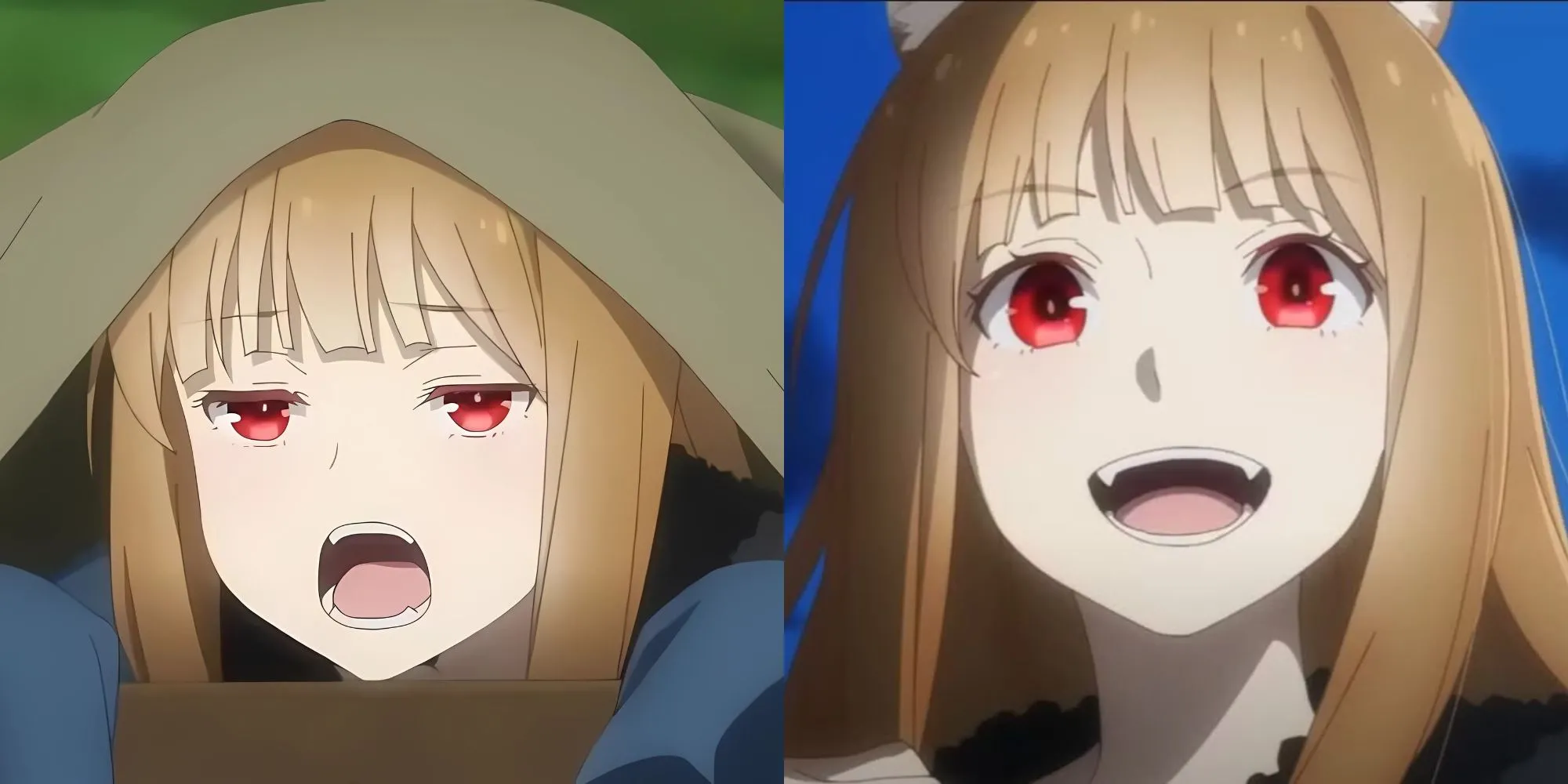 Holo, nữ thần sói khôn ngoan trong Spice and Wolf