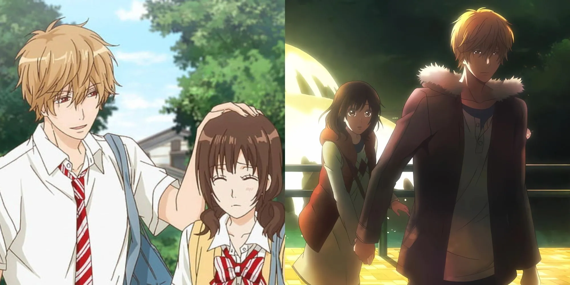 Kyouya Sata và Erika Shinohara trong anime Wolf Girl &amp; Black Prince