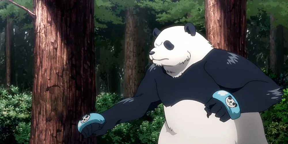 Panda đang nói chuyện