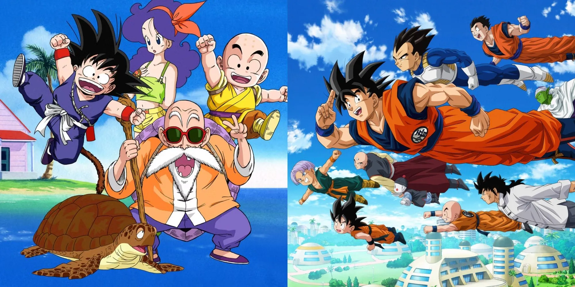 Son Goku tung chiêu Kamehameha