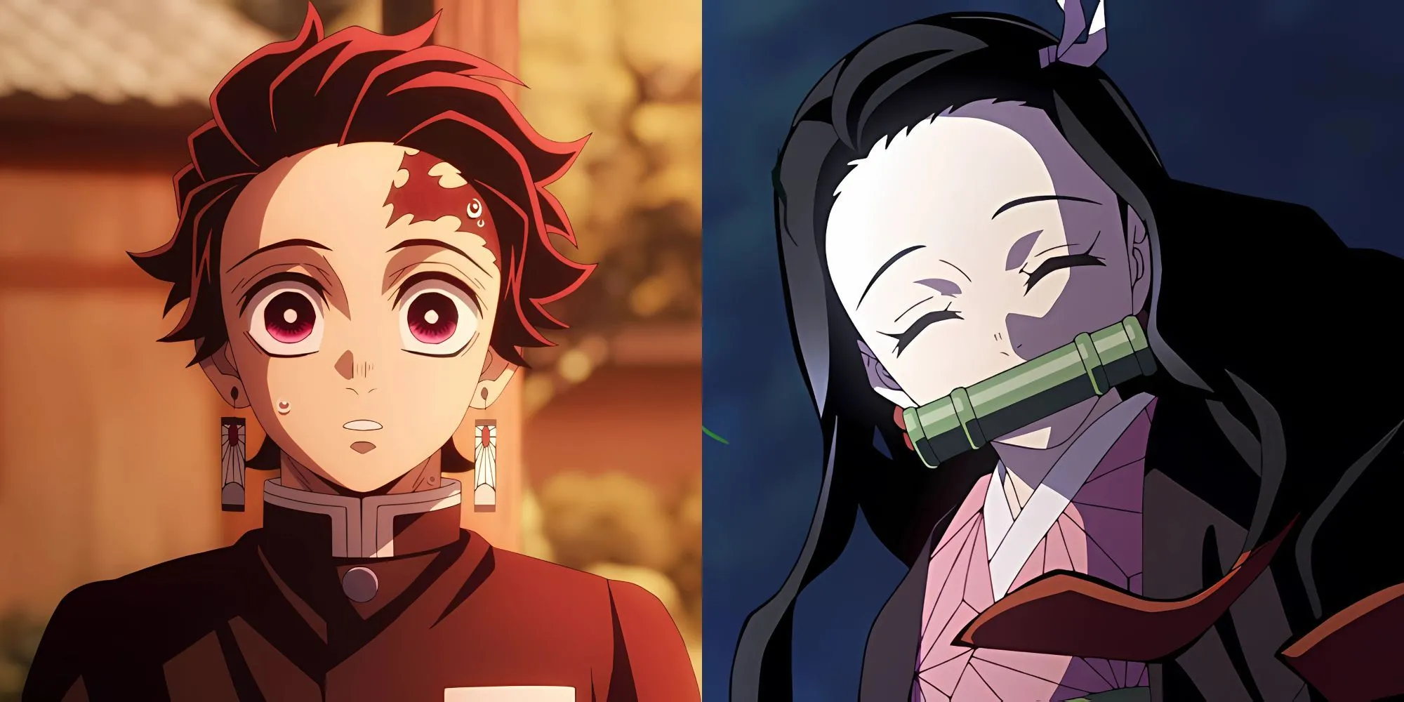 Tanjiro Kamado và em gái Nezuko cùng các Trụ Cột trong Thanh Gươm Diệt Quỷ (Demon Slayer), chiến đấu chống lại quỷ.