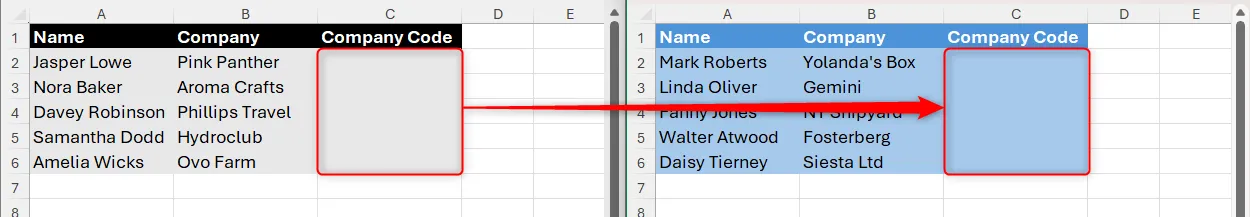 Hai worksheet chứa danh sách người chơi và ô nhập mã công ty — minh họa việc sao chép quy tắc Data Validation giữa các sheet.
