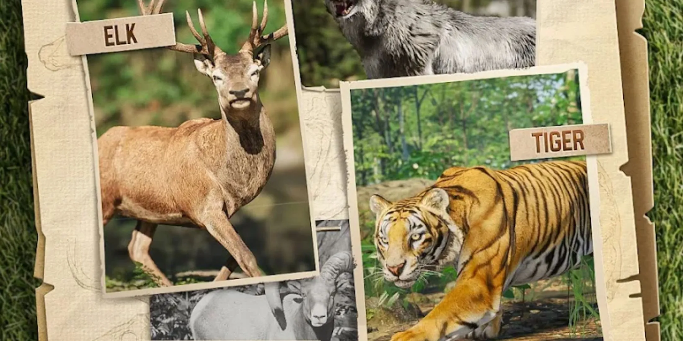 Hươu và hổ — khung cảnh săn bắn thể hiện cảm xúc trong Hunting Sniper và phần thưởng từ rương